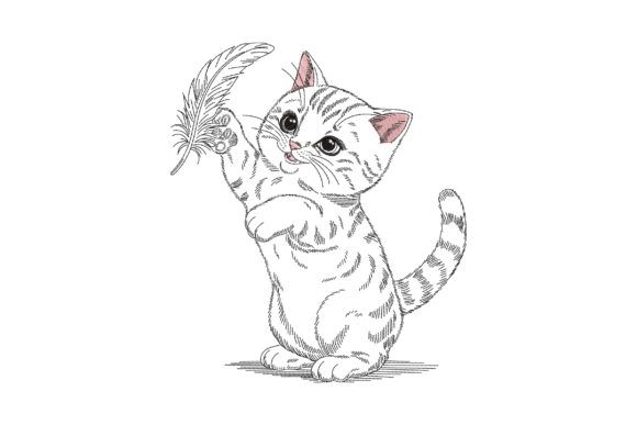 Adorable Kitten Playing with Feather Review