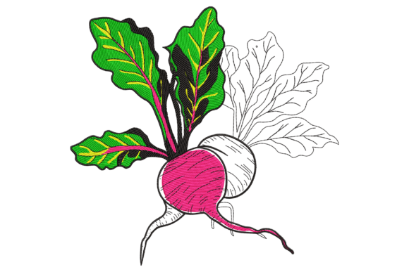 Bold Beets: A Designer's Review for Business Merch