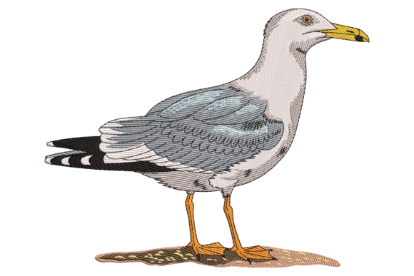 Seagull Bird: A Review for Embroidery Sellers